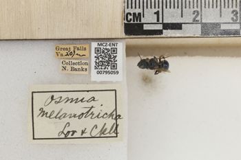 Media type: image;   Entomology 795059 Aspect: Labels